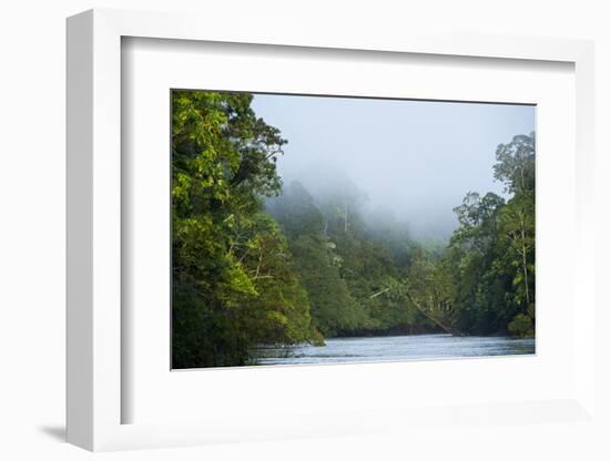 Tiputini River Scenic, Yasuni NP, Amazon Rainforest, Ecuador-Pete Oxford-Framed Photographic Print