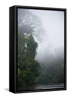 Tiputini River Scenic, Yasuni NP, Amazon Rainforest, Ecuador-Pete Oxford-Framed Stretched Canvas