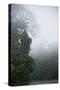 Tiputini River Scenic, Yasuni NP, Amazon Rainforest, Ecuador-Pete Oxford-Stretched Canvas