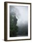 Tiputini River Scenic, Yasuni NP, Amazon Rainforest, Ecuador-Pete Oxford-Framed Photographic Print