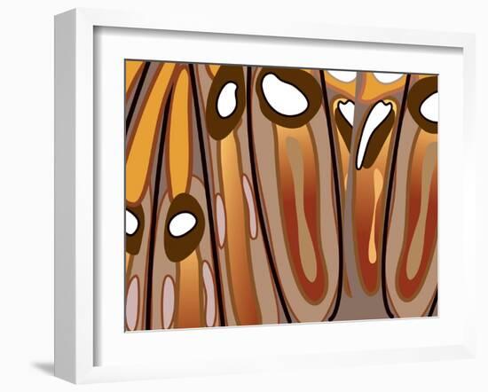 Tiramisu-Belen Mena-Framed Giclee Print