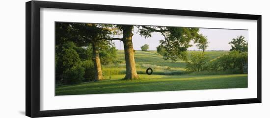 Tire Swing on a Tree-null-Framed Photographic Print