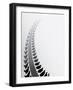 Tire Track Background-place4design-Framed Art Print