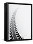 Tire Track Background-place4design-Framed Stretched Canvas