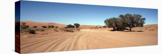 Tire Tracks in an Arid Landscape, Sossusvlei, Namib Desert, Namibia-null-Stretched Canvas