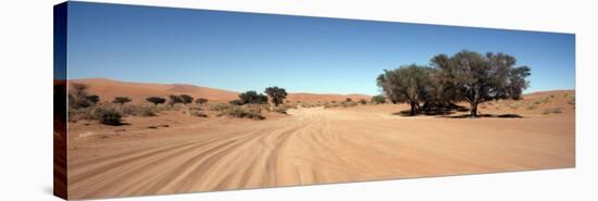 Tire Tracks in an Arid Landscape, Sossusvlei, Namib Desert, Namibia-null-Stretched Canvas