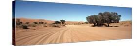 Tire Tracks in an Arid Landscape, Sossusvlei, Namib Desert, Namibia-null-Stretched Canvas