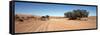 Tire Tracks in an Arid Landscape, Sossusvlei, Namib Desert, Namibia-null-Framed Stretched Canvas