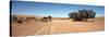 Tire Tracks in an Arid Landscape, Sossusvlei, Namib Desert, Namibia-null-Stretched Canvas