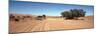 Tire Tracks in an Arid Landscape, Sossusvlei, Namib Desert, Namibia-null-Mounted Photographic Print