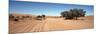 Tire Tracks in an Arid Landscape, Sossusvlei, Namib Desert, Namibia-null-Mounted Photographic Print