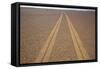 Tire Tracks on the Skeleton Coast-Paul Souders-Framed Stretched Canvas