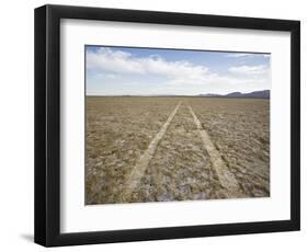 Tire Tracks Through the Desert-David Madison-Framed Photographic Print