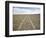 Tire Tracks Through the Desert-David Madison-Framed Photographic Print