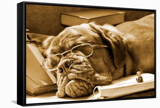 Tired Dog Sleeping At Her Lessons In Sepia Tone-vitalytitov-Framed Stretched Canvas