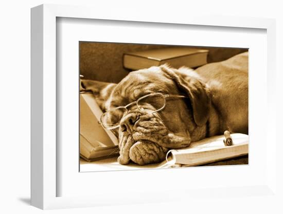 Tired Dog Sleeping At Her Lessons In Sepia Tone-vitalytitov-Framed Photographic Print