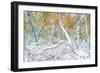 Tired Trees 3-Moises Levy-Framed Photographic Print