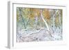 Tired Trees 3-Moises Levy-Framed Photographic Print