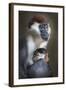 Tired-Carles Just-Framed Photographic Print