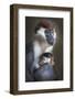 Tired-Carles Just-Framed Photographic Print