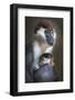 Tired-Carles Just-Framed Photographic Print
