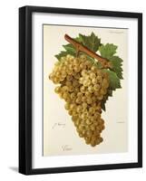 Tiro Grape-J. Troncy-Framed Giclee Print