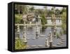 Tirta Gangga Royal Water Garden, Bali, Indonesia, Southeast Asia, Asia-Melissa Kuhnell-Framed Stretched Canvas