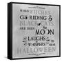 Tis Halloween-Erin Clark-Framed Stretched Canvas