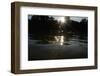 Tisza Mayflies (Palingenia Longicauda) in Flight over the Tisza River, Hungary, June 2009-Radisics-Framed Photographic Print