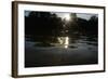 Tisza Mayflies (Palingenia Longicauda) in Flight over the Tisza River, Hungary, June 2009-Radisics-Framed Photographic Print