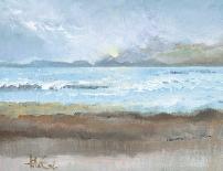 Sea Breeze II-Tita Quintero-Stretched Canvas