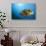 Titan Triggerfish (Balistoides Viridescens)-Reinhard Dirscherl-Photographic Print displayed on a wall