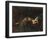 Titania Sleeps; a Midsummer Night's Dream-Frank Wright Bourdillon-Framed Giclee Print