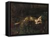 Titania Sleeps; a Midsummer Night's Dream-Frank Wright Bourdillon-Framed Stretched Canvas