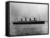 Titanic Leaves Belfast-null-Framed Stretched Canvas