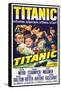 TITANIC-null-Framed Stretched Canvas