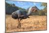 Titanis Walleri, a Flightless Carnivorous Bird from the Pleistocene Epoch-null-Mounted Art Print