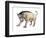 Titanoides-null-Framed Photographic Print