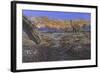 Titanosaur Nesting Site, Mid-Cretaceous Period of South America.-null-Framed Art Print