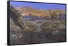 Titanosaur Nesting Site, Mid-Cretaceous Period of South America.-null-Framed Stretched Canvas