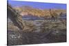 Titanosaur Nesting Site, Mid-Cretaceous Period of South America.-null-Stretched Canvas