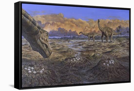 Titanosaur Nesting Site, Mid-Cretaceous Period of South America.-null-Framed Stretched Canvas