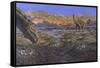 Titanosaur Nesting Site, Mid-Cretaceous Period of South America.-null-Framed Stretched Canvas