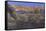 Titanosaur Nesting Site, Mid-Cretaceous Period of South America.-null-Framed Stretched Canvas