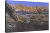 Titanosaur Nesting Site, Mid-Cretaceous Period of South America.-null-Stretched Canvas