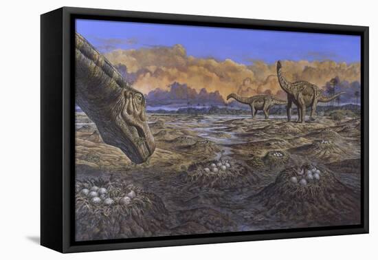 Titanosaur Nesting Site, Mid-Cretaceous Period of South America.-null-Framed Stretched Canvas