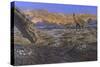Titanosaur Nesting Site, Mid-Cretaceous Period of South America.-null-Stretched Canvas