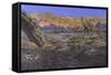 Titanosaur Nesting Site, Mid-Cretaceous Period of South America.-null-Framed Stretched Canvas