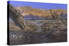 Titanosaur Nesting Site, Mid-Cretaceous Period of South America.-null-Stretched Canvas