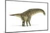 Titanosaurus Dinosaur, Artwork-null-Mounted Photographic Print